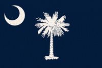 South Carolina Notary Public, fast notary services for South Carolina